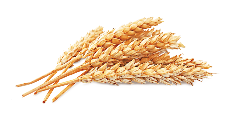 Bootstrap Image Preview